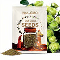 30 Seeds | Bright Green Rose Seeds, Unique Rare Rose Flower, Beautiful Garden Blooms, Easy Grow Perennial Plant Seeds
