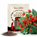 Currant Tomato Combo ~Red & Yellow Currant, Spoon Tomato Seeds ~ Solanum pimpinellifolium