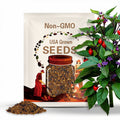 Buena Mulata Pepper Seeds, Hot Peppers, Capsicum Annuum CH3110