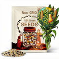 Three Sisters Seed Collection - NC Heirloom Seeds - Non GMO - Vegetable Gardening Grow Your Own Food