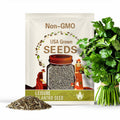 Leisure Cilantro Seeds - Coriander Seeds, Heirloom Seeds, Slow-Bolting, Culinary Herb Seeds, Medicinal Herb, Open Pollinated, Non-GMO