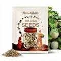 20 Seeds Hales Best Jumbo Cantaloupe, Cucumis Melo, Sweet & Juicy Melon