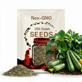 Gadzukes Zucchini Squash Seeds: USA Garden Planting, Non-GMO