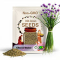 Chives Onion Seeds - Perennial - Edible, Fast Growing, Cold Resistant, Fragrant, Attracts Pollinators, Clumping - Plant in Spring/Fall
