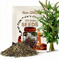 Maori Dock Seeds ~Rumex flexuosus~ New Zealand Bronze Sorrel ~ Chocolate Brown Leaves ~ Culinary Accent ~ Unique Container Plant