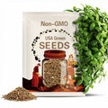 1500 SWEET BASIL Ocimum Basilicum Herb White Flower Seeds