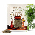Dill Mammoth Long Island Seeds 500+ Anethum Graveolens Herb Spice USA