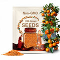 Valencia Orange Bell Pepper Seeds: Heirloom, Non-GMO (15 Seeds)