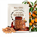 16 OZ Bitter Apricot Seeds, California Grown, Raw Apricot Seeds, 100% All Natural, GMO Free from Organic Farms