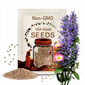 Nuccio's Pearl Camellia Japonica Starter Plant: White Pink Blooms, Garden Shrub