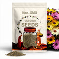 African Daisy Seeds | Heirloom / Non-GMO | Flower Seeds
