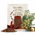 RARE MINI MELON  10 + Seeds - Combined shipping ( Pay shipping just for the first item) Grow Indoors Or Outdoors--)Usa Seller