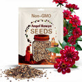 Angel Rowyn Dahlia Seeds - Attracts Pollinators, Long Blooming Season, Vibrant Colors, Excellent Cut Flower, Plant in Spring