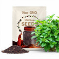 1000+ Catnip Seeds Herbs Perennial Heirloom Non-GMO