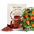 Hot Pepper- Peter Pepper Orange- embarrassingly funny x-rated hot pepper- 20 seeds