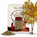 Quaking Aspen Tree Seeds: Populus tremuloides, Golden Fall Color