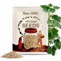 Hale's Best Jumbo Cantaloupe Seeds 50+ Melon Fruit USA NON-GMO