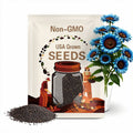 Midnight Oil Blue Sunflower Seeds: Rare Bonsai Black Hybrid, Non-GMO