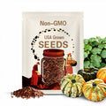10 Carnival Squash Seeds. Ships free