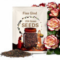 Firebird Rose Seeds: Heirloom Red & Yellow Bicolor Blooms (20pcs)
